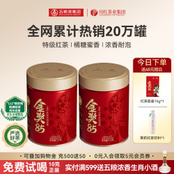 川红 新茶金奖85 非遗五星金奖125g*2罐