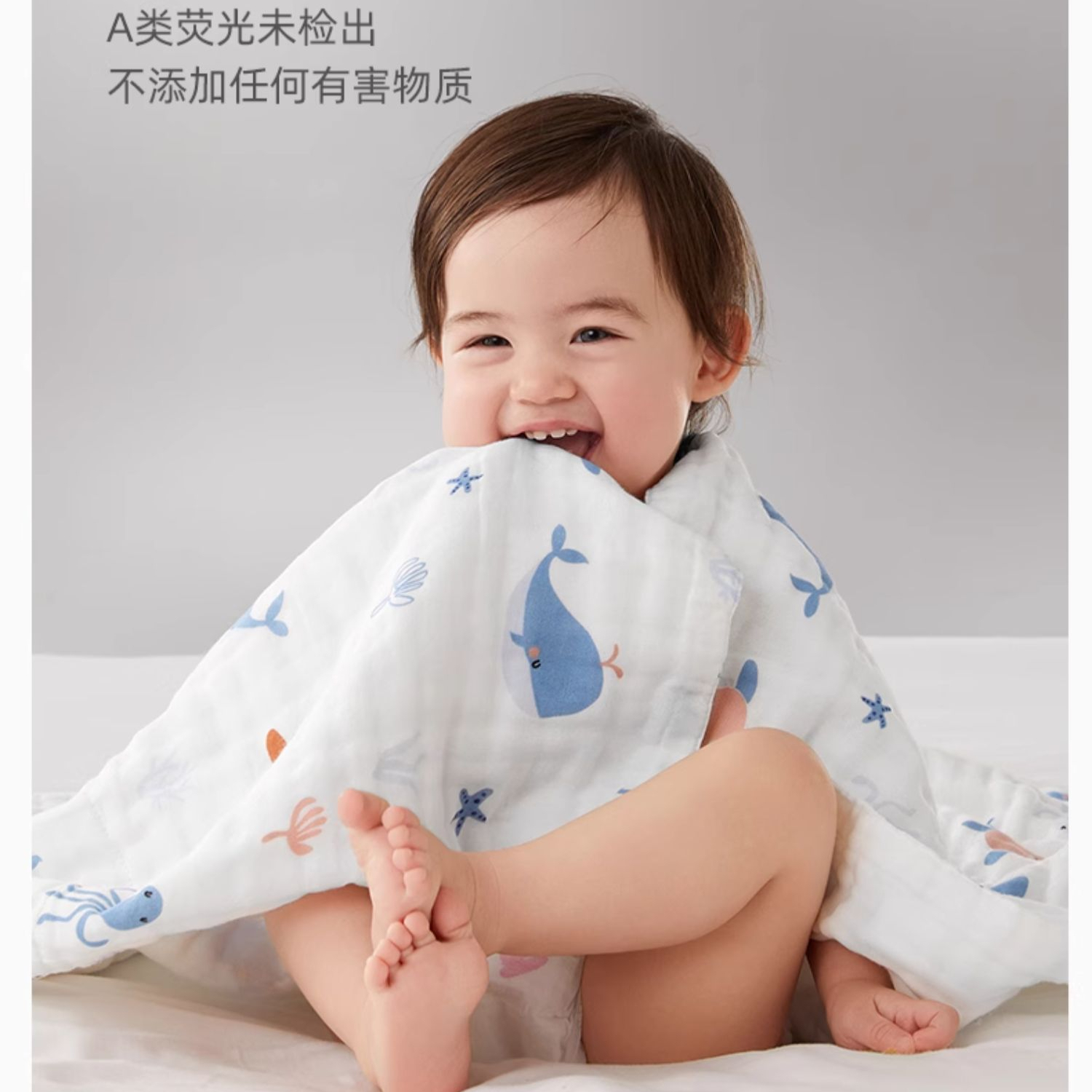 动物日记