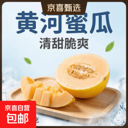 黄河蜜瓜 净重1.5-2斤(1个装)