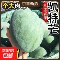 凯特芒 大芒果 带箱9斤净重8斤