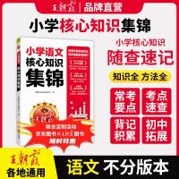 《王朝霞小学语文核心知识集锦》