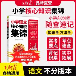 《王朝霞小学语文核心知识集锦》