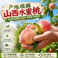 京世泽 蛋枣水蜜桃 当季脆桃新鲜桃子水果水蜜桃 含箱5斤装(净重4.5斤起)2两起