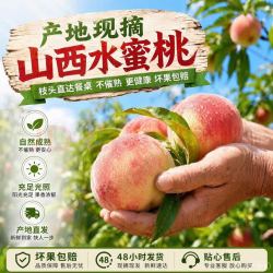 京世泽 蛋枣水蜜桃 当季脆桃新鲜桃子水果水蜜桃 含箱5斤装（净重4.5斤起）2两起