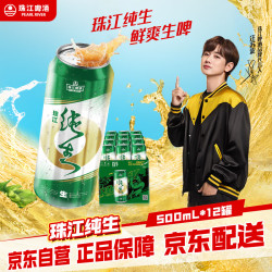 珠江啤酒 9度 纯生啤酒 500ml*12听 整箱装