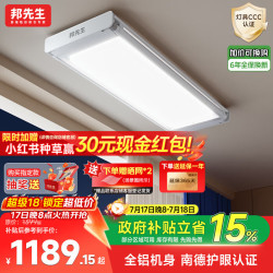 邦先生 M22PlusA 智能电动晾衣架 2.15m 白色