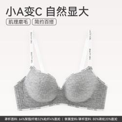 芬腾 聚拢无钢圈女士内衣 小胸显大立体 花灰