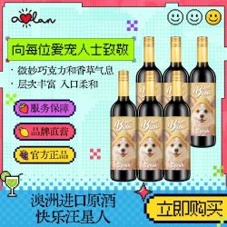 奥兰 小红帽 设拉子 干红葡萄酒 750ml*6瓶 整箱装
