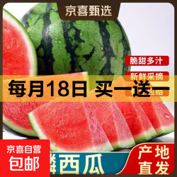 自营 河南商丘无籽麒麟西瓜净重4-6斤/个