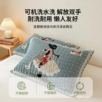 张御 A类100%全棉枕套枕头巾一对装