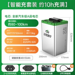 闪充智行 闪充 智行电摩电动车锂电池 48V50ah