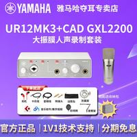 YAMAHA 新款UR12MK3专业外置声卡播客录制配音直播专用升级款UR12 UR12MK3 白+CAD GXL2200+礼包