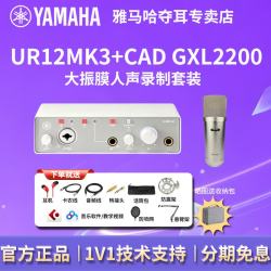 YAMAHA 新款UR12MK3专业外置声卡播客录制配音直播专用升级款UR12 UR12MK3 白+CAD GXL2200+礼包