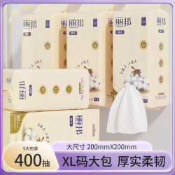 丽邦 洗脸巾80抽*5包