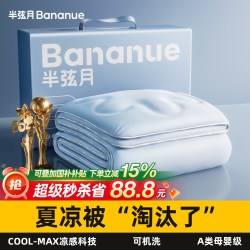 半弦月 2026新款凉感冰丝夏凉被 110x150cm 灰色