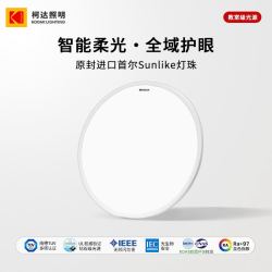 柯达 KD-CL01S 吸顶灯 40W 铝材
