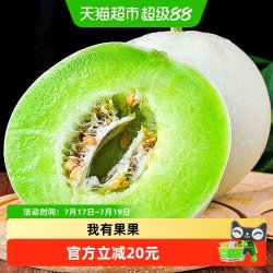 果果 冰淇淋玉菇甜瓜 4.5斤