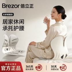 倍立正 护腰坐垫靠垫透气久坐神器人体工学办公室座姿椅腰背一体支撑腰部 全新升级-晚波蓝