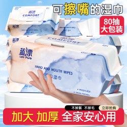 蓝漂 80抽大包湿巾婴幼儿手口屁可用湿纸巾家庭实惠装宝宝亲肤手巾