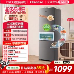 海信 251/256L三开门电冰箱家用小户型一级能效无霜出租房