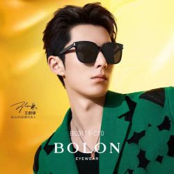 暴龙 眼镜 2024偏光太阳镜 开车驾驶墨镜 BL3111