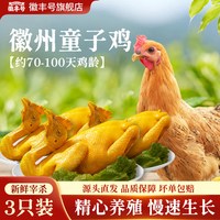 徽丰号 正宗徽州童子鸡 整只生鲜白切鸡 3只装650g/只