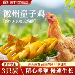 徽丰号 正宗徽州童子鸡 整只生鲜白切鸡 3只装650g/只