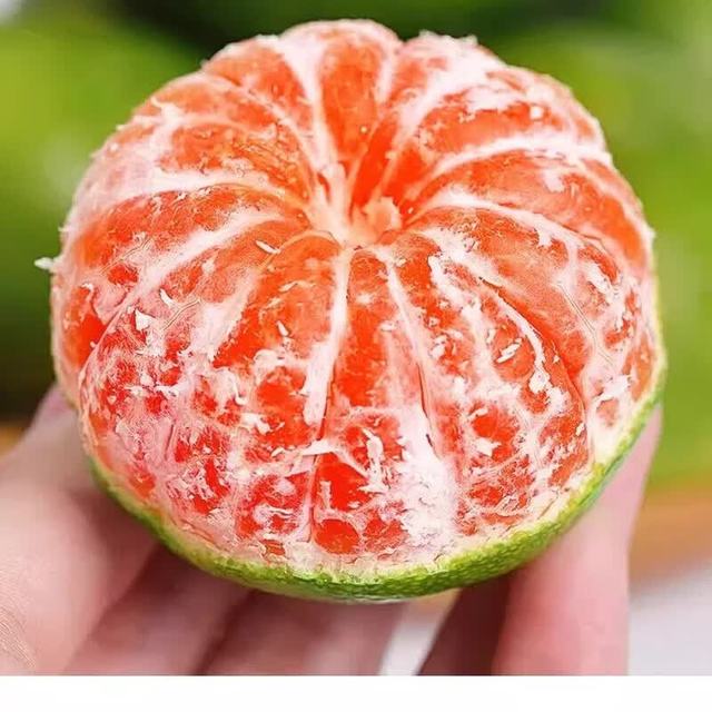 云南 大果 青皮蜜橘7 蜜桔 5斤装 单果50-60mm