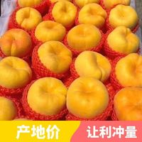 OLOEY 特大果 山东蒙阴 黄金蟠桃 2.25斤装 4-7个