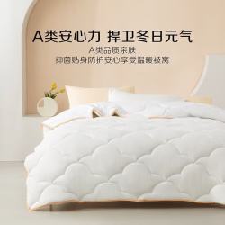 水星家纺 A类七孔纤维透气冬被