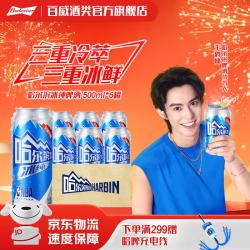哈尔滨啤酒 冰纯啤酒冰爽哈啤 罐装 500ml*6罐 尝鲜装