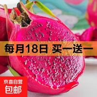 广西金都一号红心火龙果新鲜水果红肉火龙果应季现摘整箱包邮 带箱2斤-净重1.8斤 中果200g+