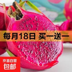 广西金都一号红心火龙果新鲜水果红肉火龙果应季现摘整箱包邮 带箱2斤-净重1.8斤 中果200g+