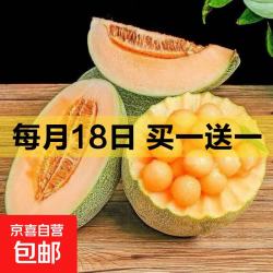 正宗海南哈密瓜西州蜜薄皮新鲜现摘晓蜜应季水果整箱蜜瓜 净果4-5斤装（1-2粒）