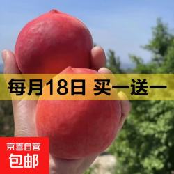 湖北头茬水蜜桃新鲜时令应急水果大毛桃子整箱 带箱2.5斤果王 净重2斤（单果140g+）