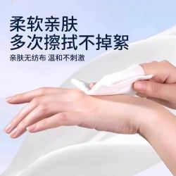 海氏海诺 75%酒精湿巾消毒大包家用杀菌皮肤清洁卫生湿纸巾便携装