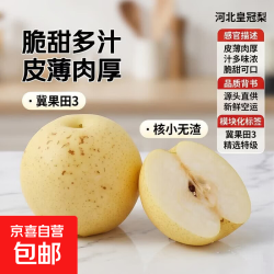 河北皇冠梨花斑果产地直发脆甜多汁皮薄肉厚产地直发冀果田3 带箱2斤净重800g单果150g