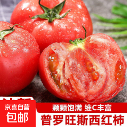 正宗甘肃武威普罗旺斯西红柿即食生吃番茄蔬菜沙拉 彩箱 5斤 净重 普罗旺斯
