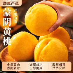 舌尖乡甜 正宗山东蒙阴黄桃毛桃 脆甜大桃子 新鲜应季水果整箱 5斤商超品质果 净重4.5斤