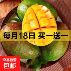 攀枝花凯特芒果大脸芒水果新鲜大芒果特大青皮芒当季整箱X 攀枝花凯特大芒果 9 斤