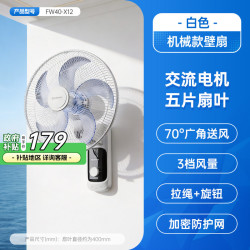 艾美特 壁扇电风扇家用遥控挂壁式电扇厨房风扇强力工业壁挂RD12