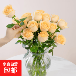 玫瑰 鲜花10支基地直发云南鲜花玫瑰花束 10朵 随机色