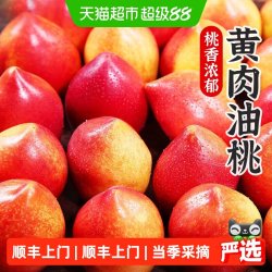 孙悟空 陕西黄肉油桃