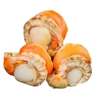 超大扇贝500g*1袋