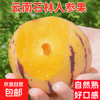 京喜 云南石林人参 买一送一！新鲜水果 -京顶鲜 特级果 1斤装 净重0.8斤