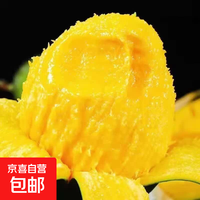 京喜 买一送一！攀枝花凯特芒果大脸芒含箱3斤小果（净重2.6斤）