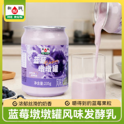 和润 蓝莓墩墩罐酸奶 235g*2 风味发酵乳