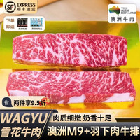 澳奇滋 Ocheese 澳奇滋 澳洲M9+和牛羽下肉板翼肉 500g