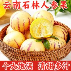 京愿 云南人参果黄肉圆果香甜多汁当季现摘新鲜水果生鲜 划算5斤装 | 50-80g | 净重4.5斤