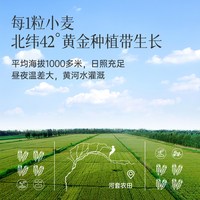 河套 雪花粉 麦芯小麦粉 5kg 面粉